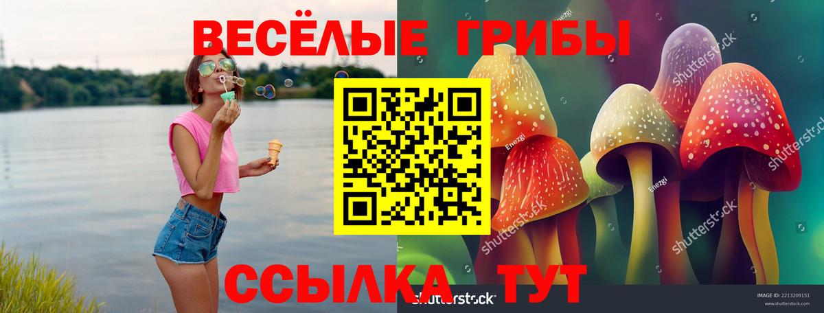 Галлюциногенные грибы Magic Shrooms  Вход с VPN  Кириши  Псилоцибиновые грибы GOLDEN TEACHER 